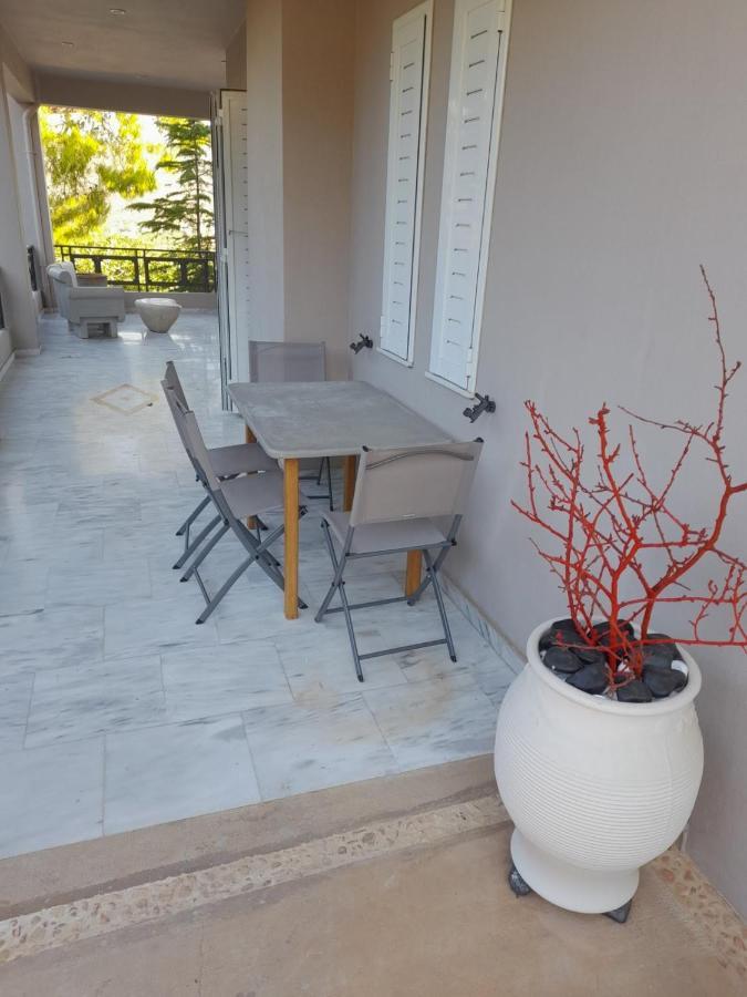 Suite With Garden Agia Marina  Exterior photo