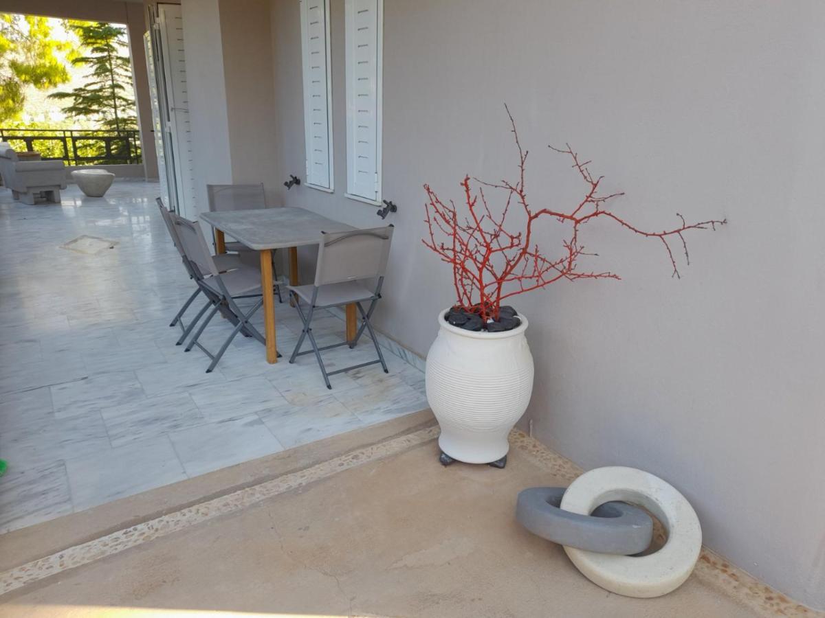 Suite With Garden Agia Marina  Exterior photo